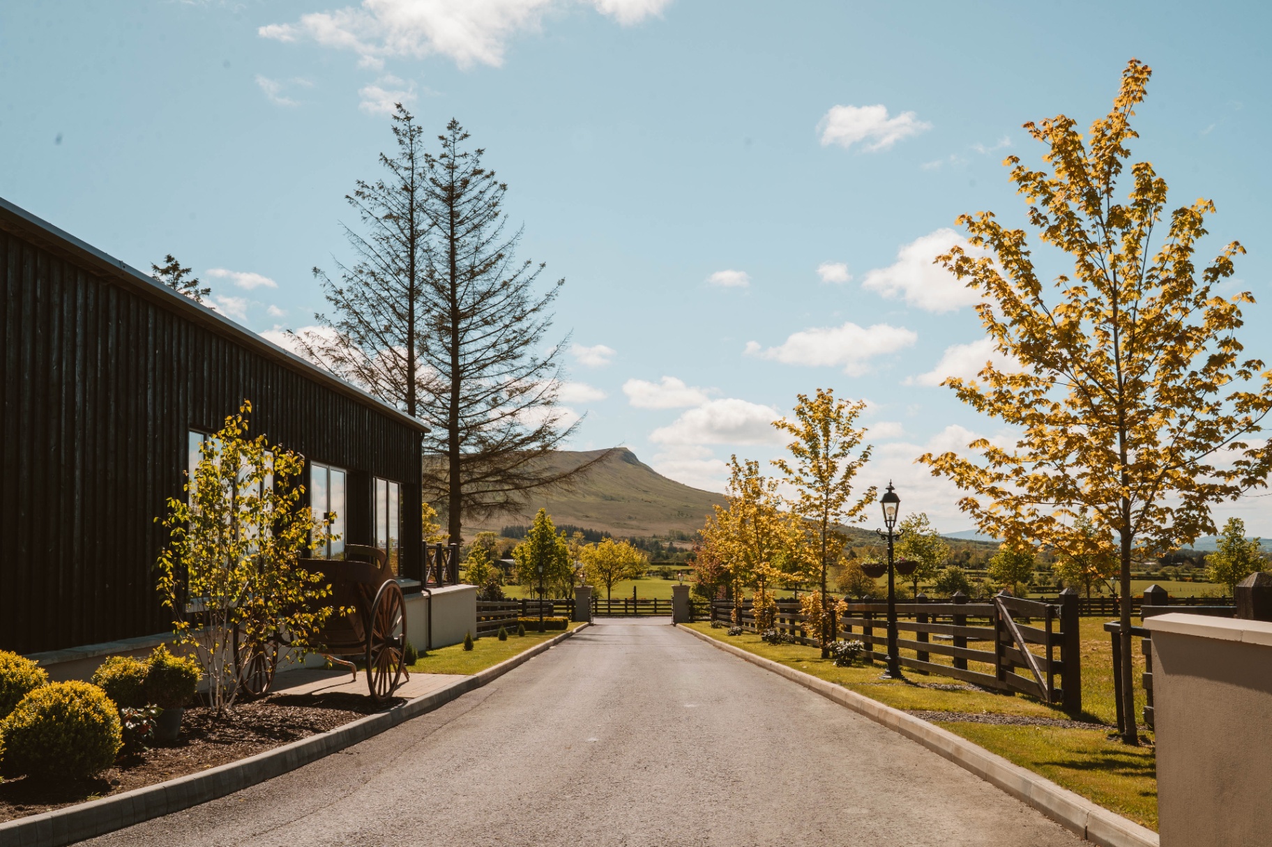 Driveway view towards Benbradagh with Ballyness buildings, fencing and carriage detail