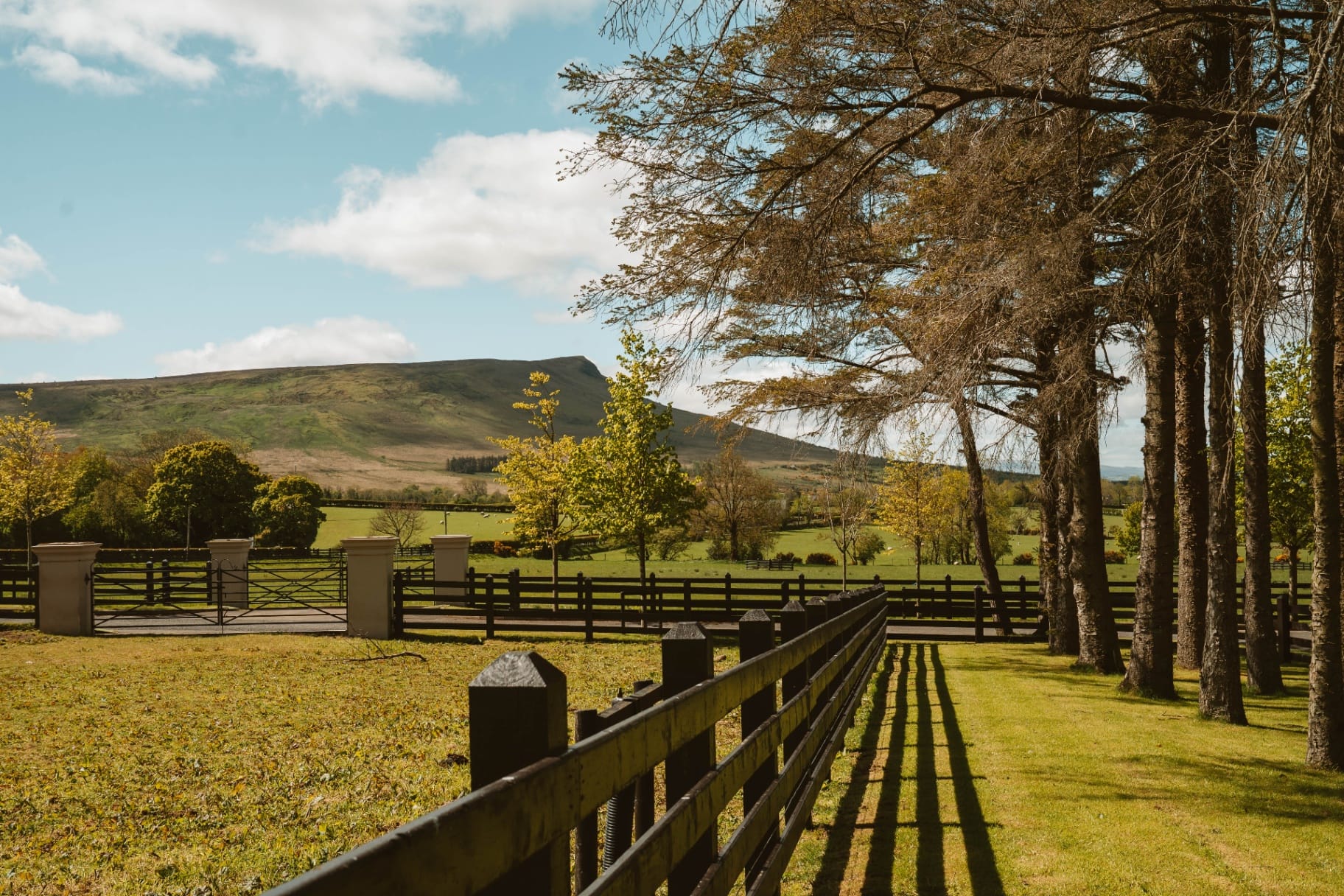 Pasture and mountain view along the fence line