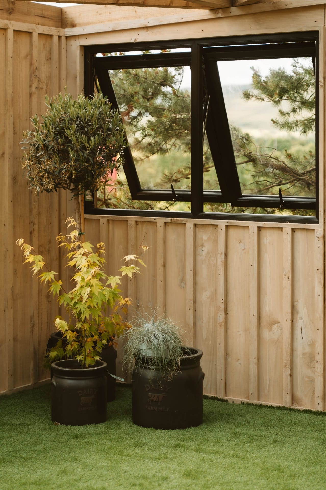 Treehouse Lookout outdoor planting nook with olive tree, acer and countryside view through the window