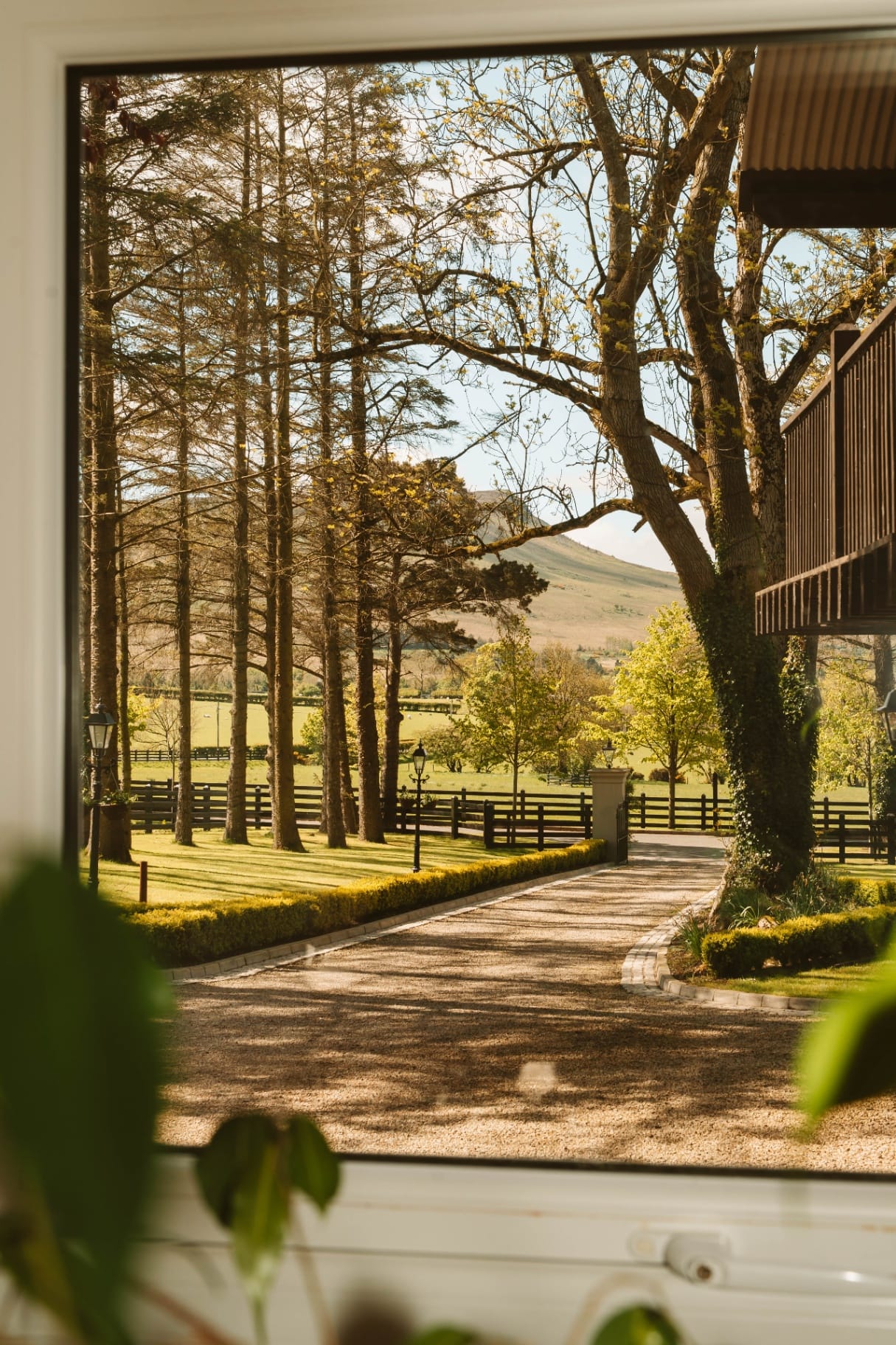 View from the Farmhouse window to the tree-lined drive and mountains
