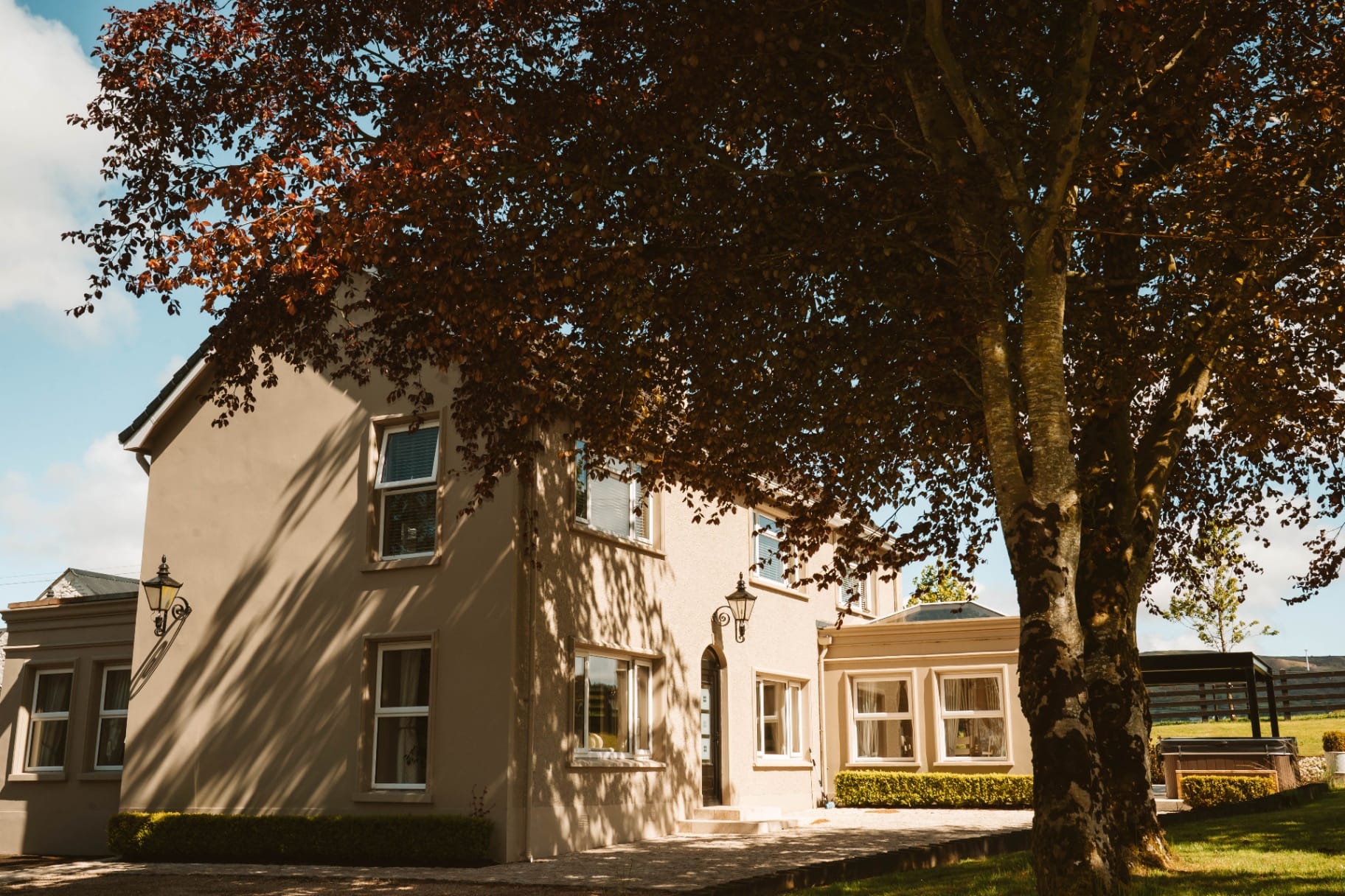 Farmhouse exterior beneath copper beech trees
