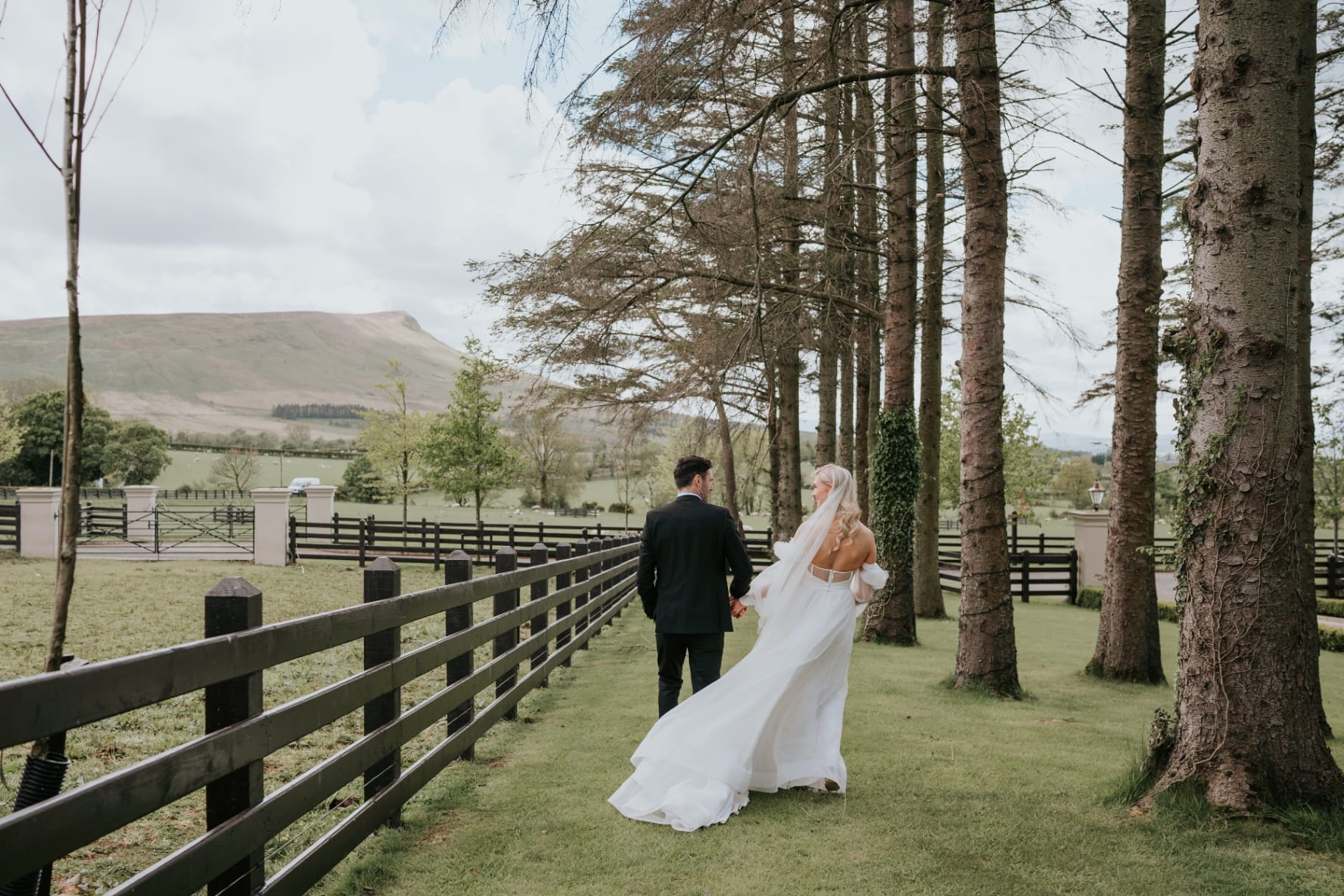 Bride and groom walking the tree-lined avenue with mountain views
