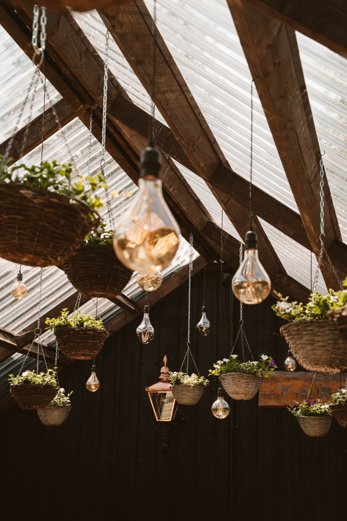 Close-up of Edison bulbs and copper lantern amongst the hanging baskets