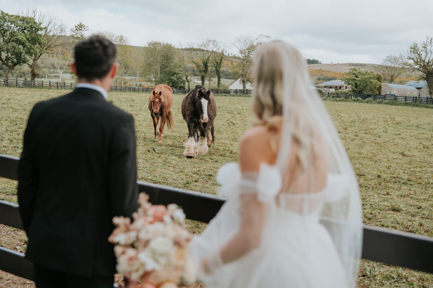Bride and groom watching horses cross the paddock at Ballyness