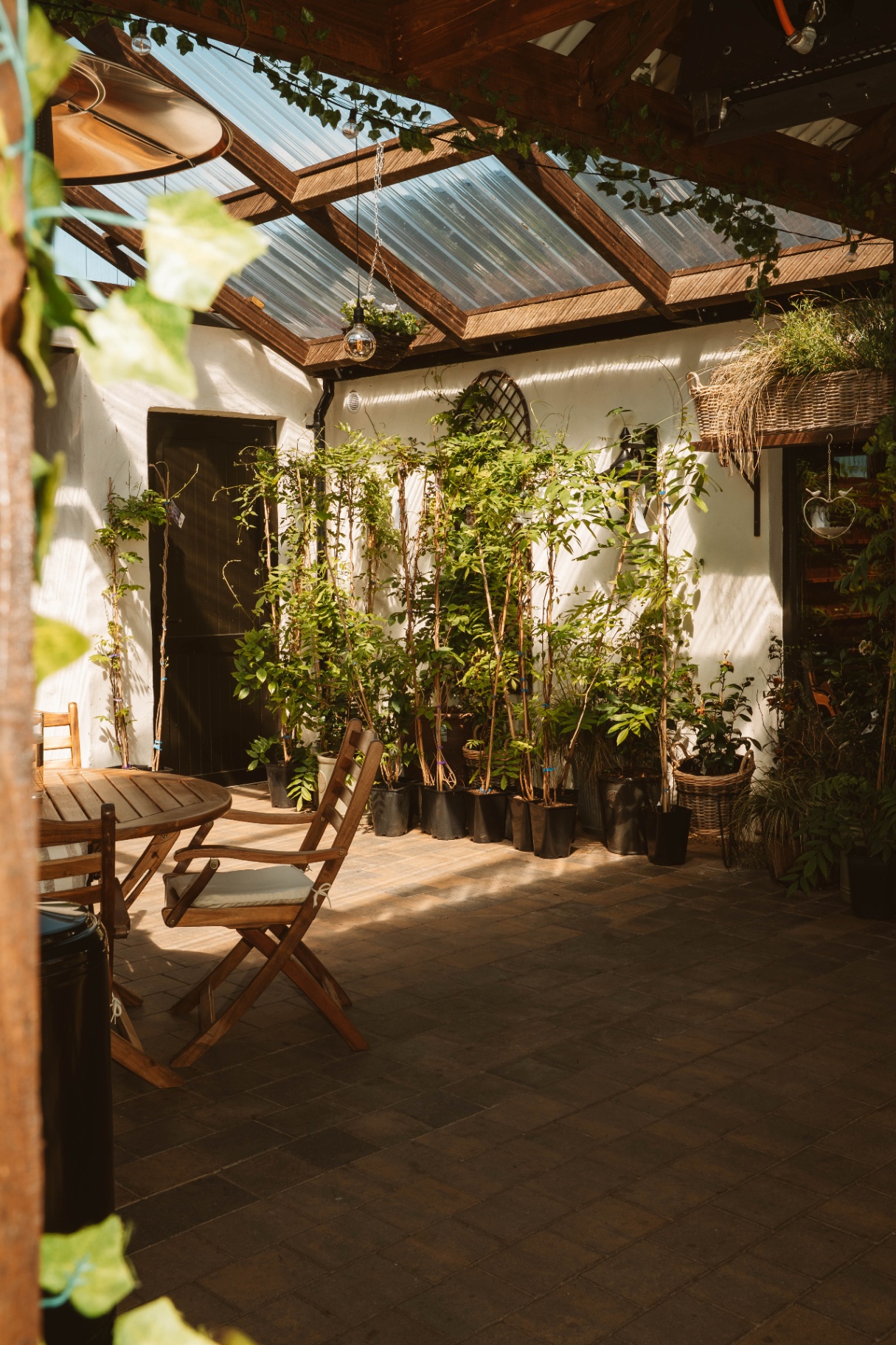 Pitched glass roof over the Courtyard with young climbing plants along the wall
