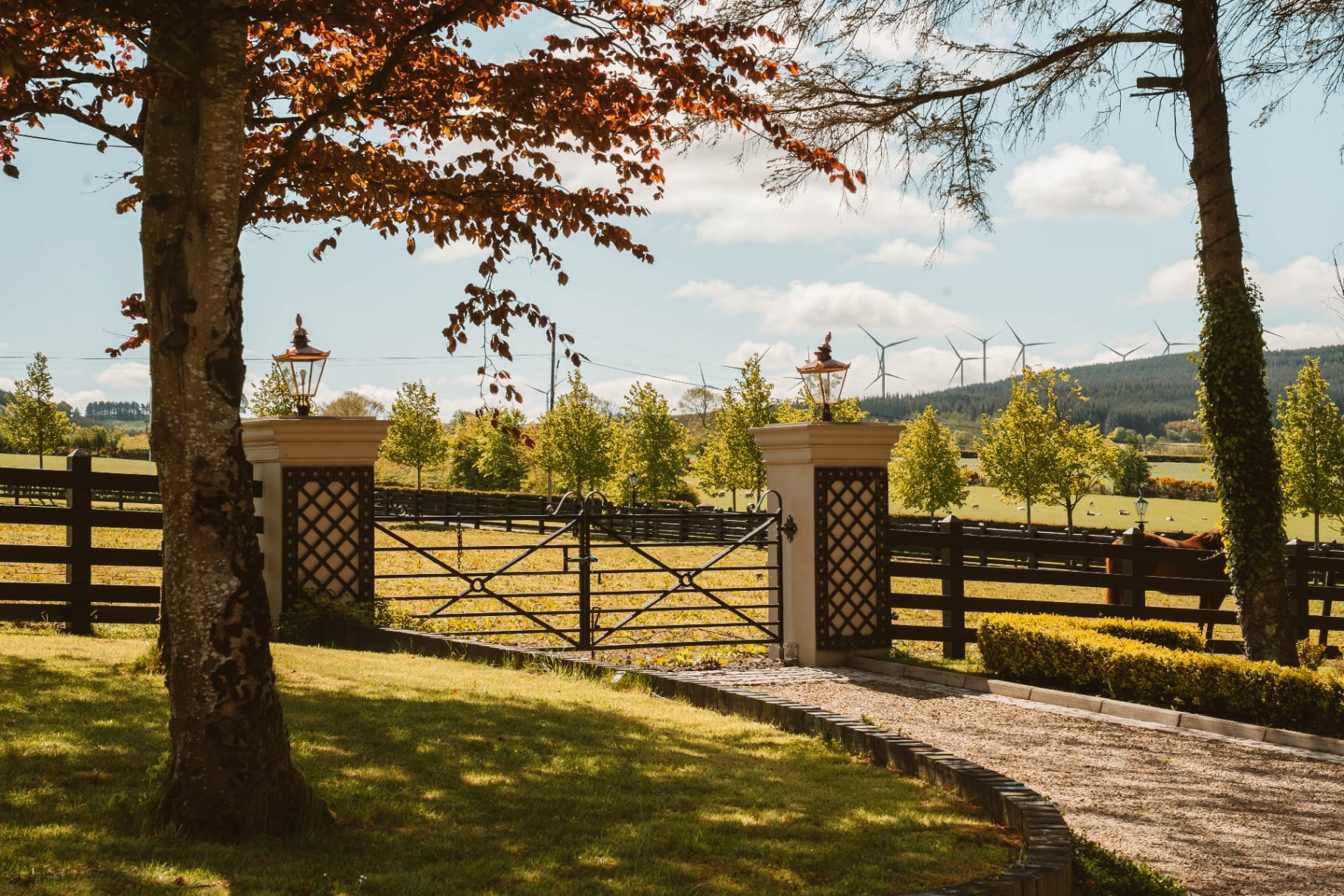 Ballyness gate and meadow view