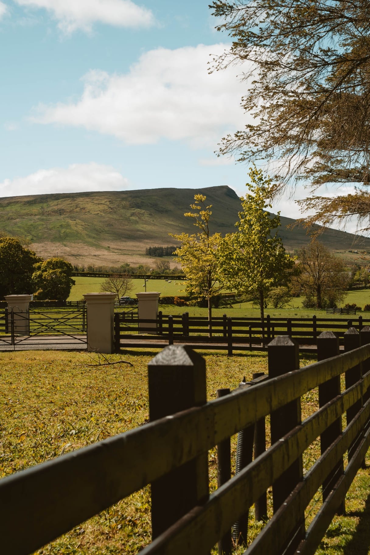 Sperrin Mountain view beyond the Ballyness gates