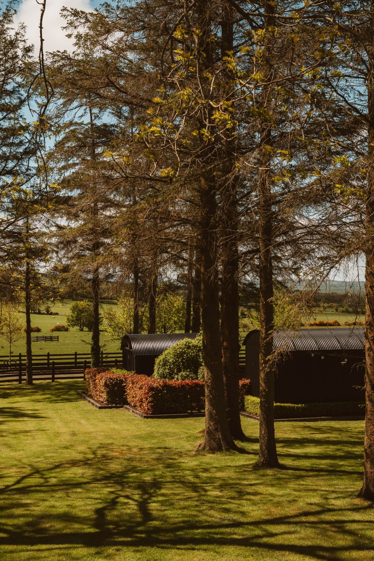 Shaded lawn with copper beech hedging and shepherd's huts beyond