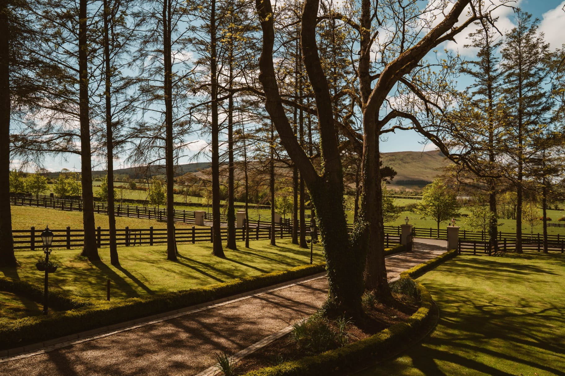 Tree-lined avenue leading to the Ballyness entrance gates