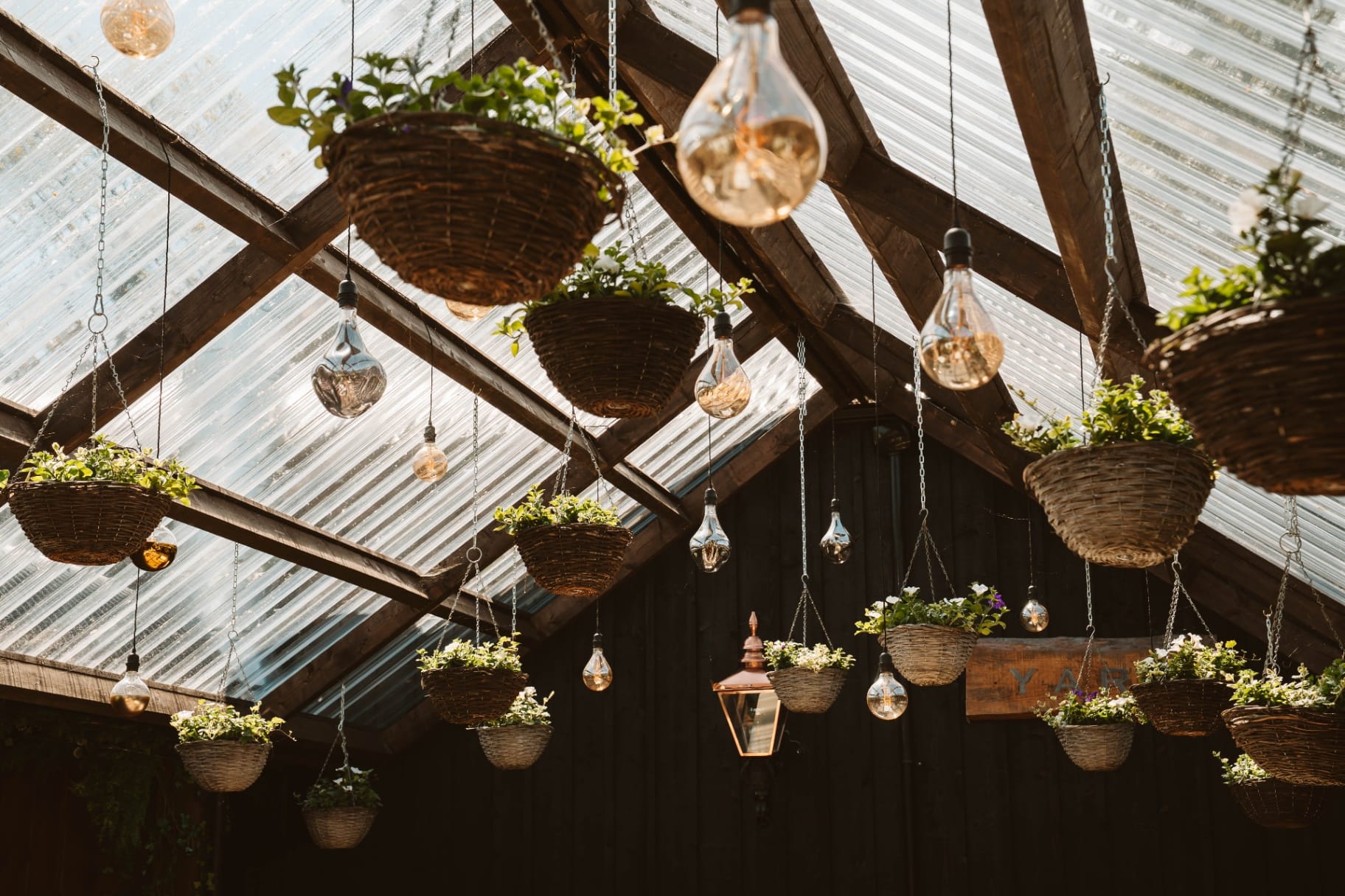 Hanging baskets and Edison bulbs in The Pergola roof