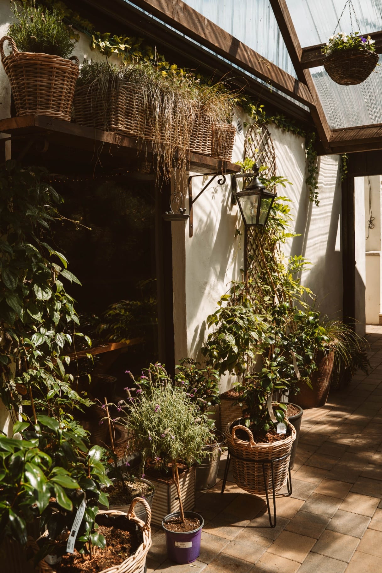 Plant-filled conservatory corner with vintage lantern
