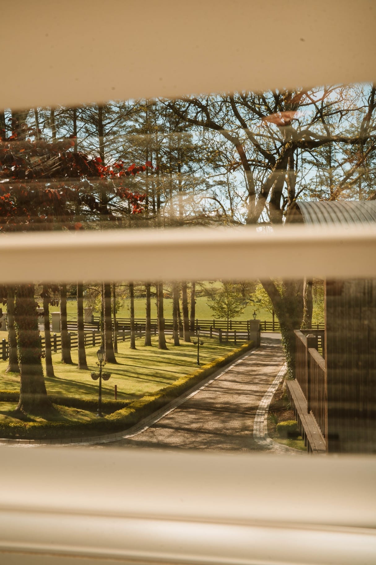Sunlit driveway and lawn seen through the Farmhouse window