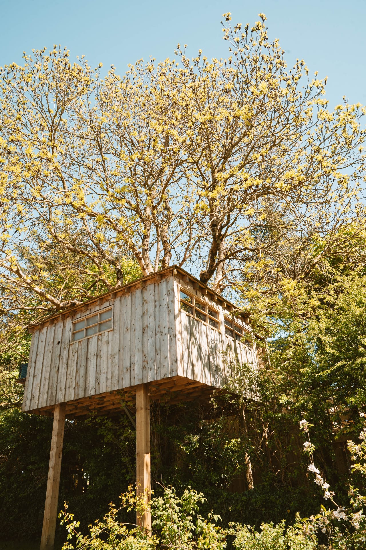Treehouse hot tub deck